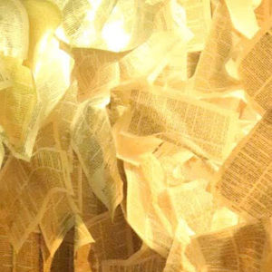 Meet your Posher, Ana maria